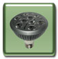 PAR30 Nine 1 Watt LED Light 