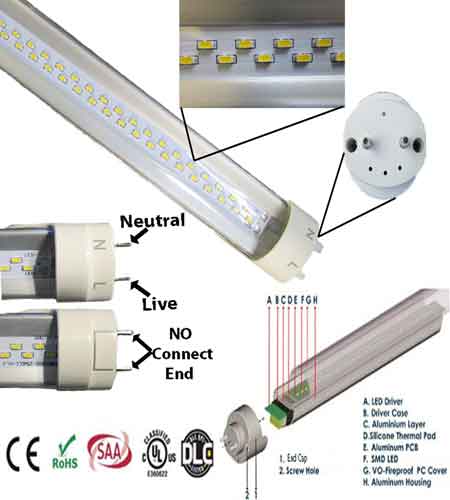 Image of a t8 t12 tube led