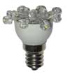 E12 Low Profile 12 LED Low Voltage 12V AC/DC LED Lamp NCNRNW