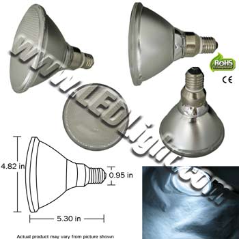 PAR38 6 Watt 120 VAC E26 30 Degree LED Light Bulb