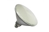 PAR38 10 Watt 12 Volt AC/DC E27 Diffused 120 View NCNRNW Dim-able