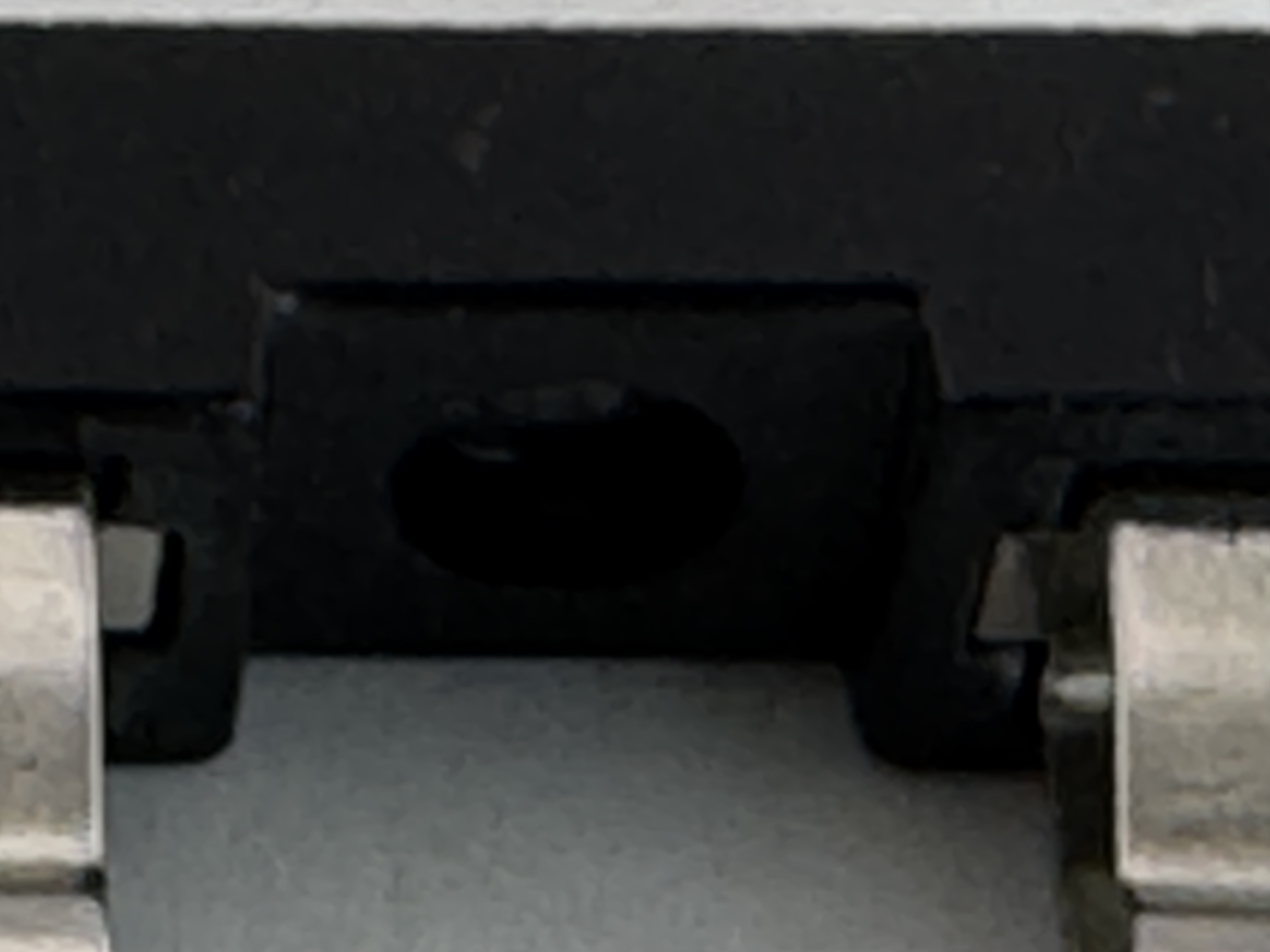 Picture of a festoon socket